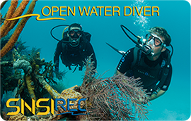manual de buceo en aguas abiertas open water diver